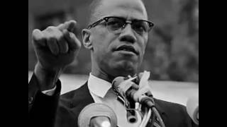 Malcolm X Says Black Americans Who Vote Democrat Are Chumps & Traitors To Their Race