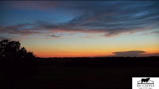 FJC Cattle Live Stream | Oklahoma Sunrise & Sunset