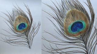 How to Draw a Peacock Feather in Color Pencils | Realistic Peacock Feather Drawing