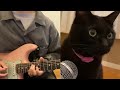Alugalug Cat X The Kiffness - Echo Cat Sings and I Play Guitar [Choco-san Only Version]