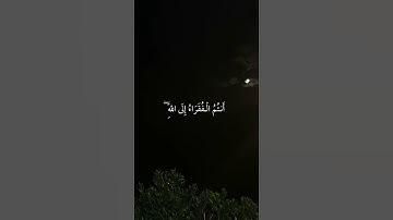 القارئ انس المالك 🩶