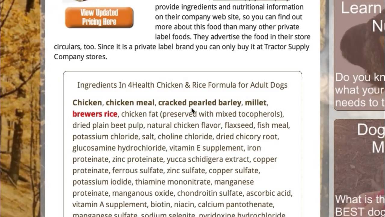 4health Chicken And Rice Review Dogfoodinsider Youtube inside Elegant  4 health food for your inspiration