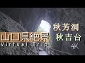 【山口県絶景】秋芳洞 秋吉台 弁天池 4K