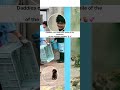Daddies Can't Hide Their Smile of the Cuteness of the Newborn Baby Monkey #shortsyoutube #shorts