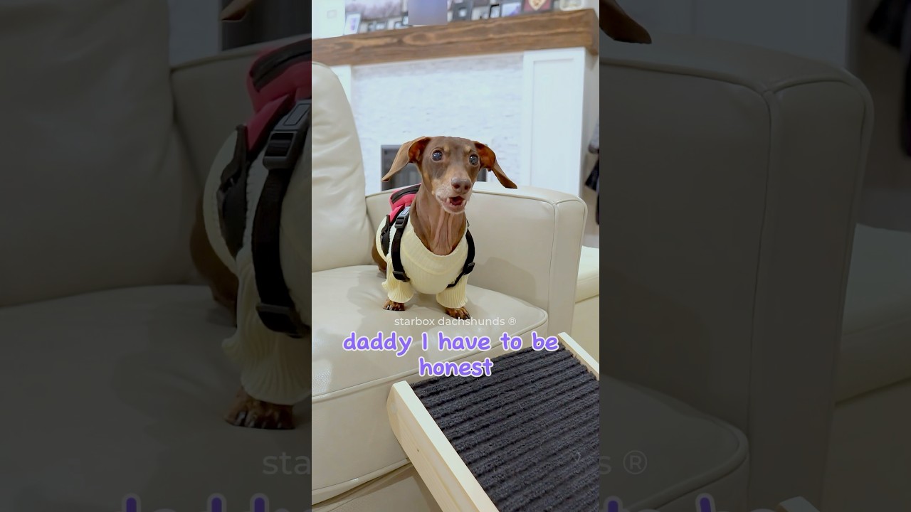 Мунпай сегодня усвоил урок 