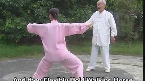 程式高清程式八卦掌八大老掌教学