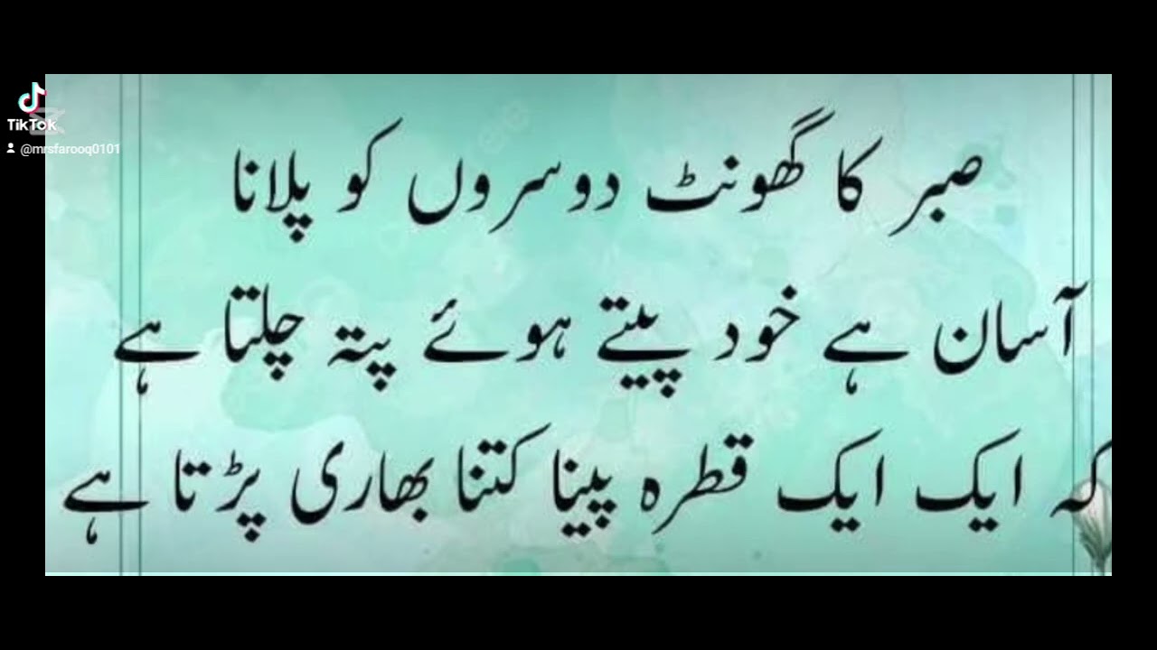 Golden word❤️❤️🌟Mumtaz Farooq