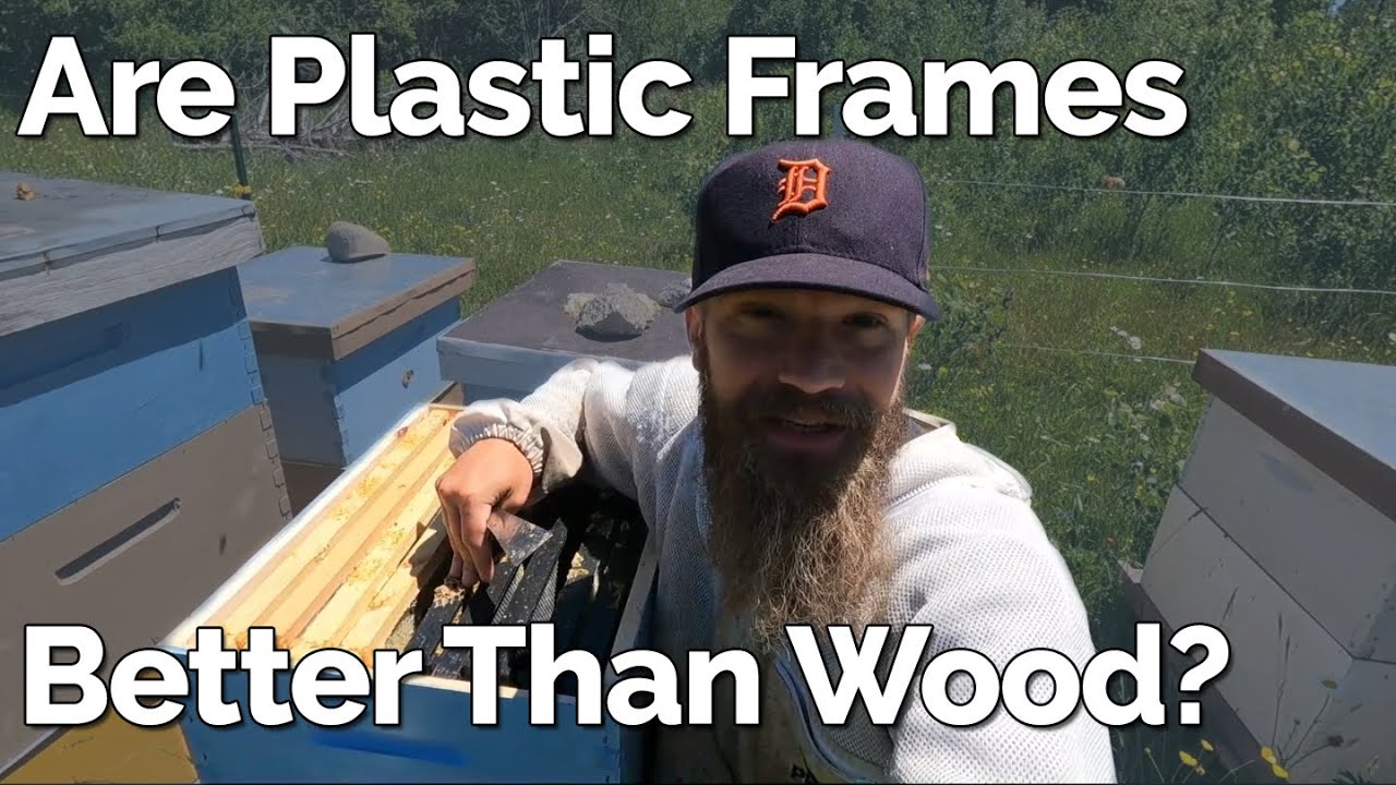 Are Plastic Frames Better Than Wood Way Better YouTube Are Plastic Frames Better Than Wood Way Better YouTube