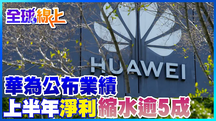 華為公布業績 上半年淨利縮水逾5成 收入3,016億元人民幣｜全球線上     @Global_Vision - 天天要聞