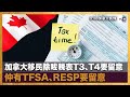 加拿大移民除咗稅表T3、T4要留意 仲有TFSA、RESP要留意｜加拿大楓情｜宋浩暉 嘉賓主持：資深時事評論員 – Dr Albert Wong