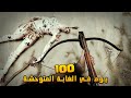 قضيت 100 أيام في الغابة المتوحشة إليكم ما حدث قضيت 100 أيام في الغابة المتوحشة إليكم ما حدث