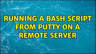 Running a bash script from Putty on a remote server