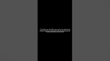 سورة الأحقاف للشيخ ياسر الدوسري تلاوة جميلة #video #part11 #quran #from @Thetreatert7