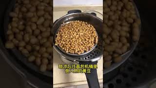 零失败纳豆制作方法  高科技电器制作没有科技与狠活的健康饮食