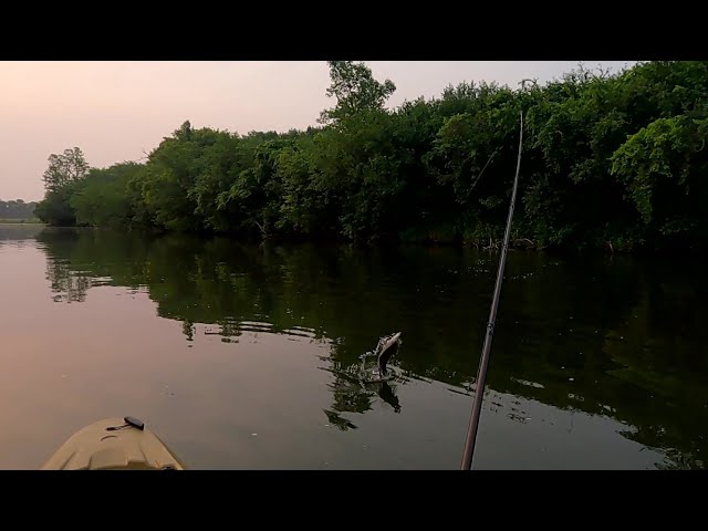 Chasing River Smallies with a Whopper Plopper