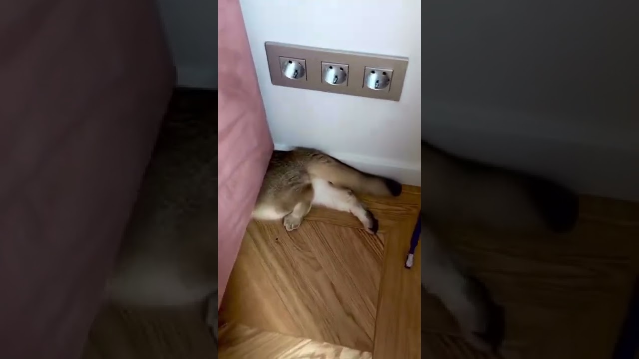 "Кажется, кто-то попался...😅 