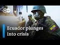 Ecuador declares &#39;internal armed conflict&#39; after series of violent attacks | DW News