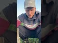 😳ШАНС ОДИН НА МИЛЛИОН…