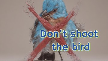 Elon Musk’s Twitter Takeover: When Power Moves Backfire