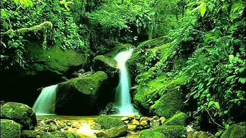 سلمان العتيبي   وقفوهم انهم مسؤولون   تلاوة رائعة