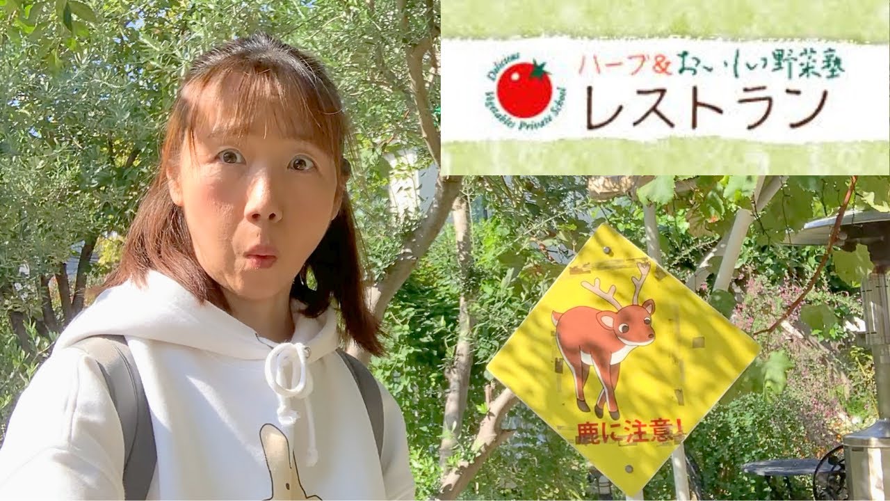 板橋区【西台駅】初めてシャトレーゼに行ってみた♪