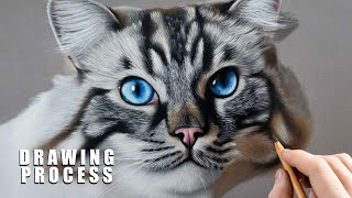 PHOTO-REALISTIC CAT DRAWING | Color Pastel Pencil Animal Art - Time-Lapse screenshot 2