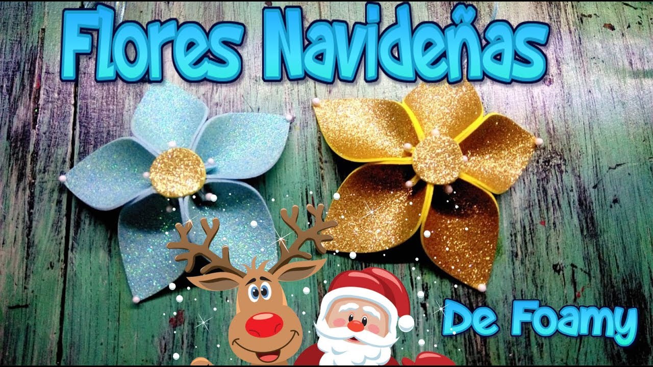 Flores Navideñas