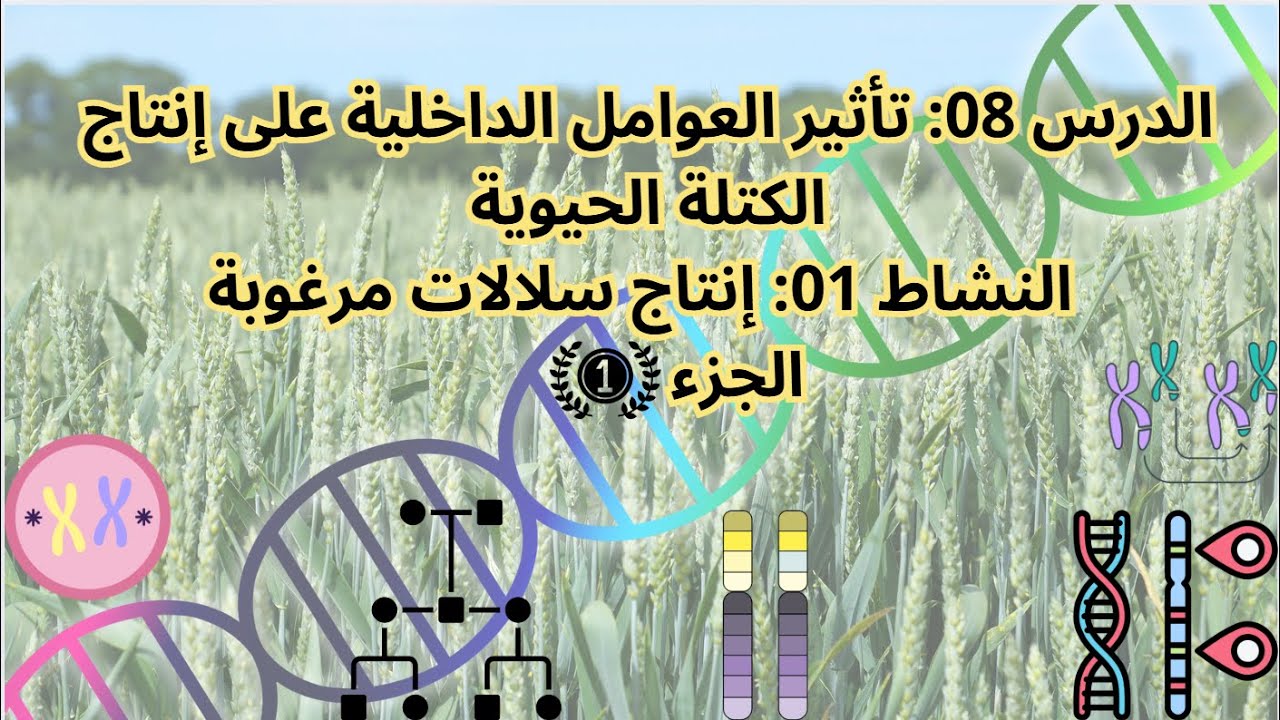 الدرس 08: تأثير العوامل الداخلية على إنتاج الكتلة الحيوية إنتاج سلالات مرغوبة الجزء الأول