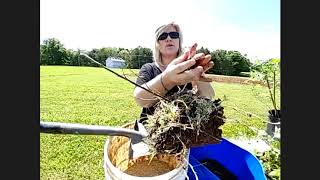 TEMG Friday Focus  #2- Greene County- 5.22.20