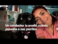 ¡Justicia! Un hombre aparentemente en estado de ebriedad atropelló a esta mujer sus mascotas