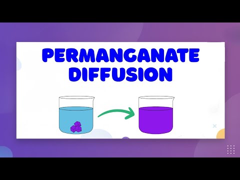 Diffusion of Potassium Permanganate — LearnStalk Chemistry