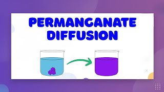 Diffusion of Potassium Permanganate — LearnStalk Chemistry