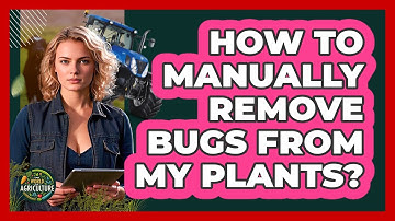 How To Manually Remove Bugs From My Plants?
