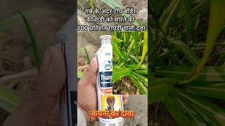 गन्ने में टॉप बोरर बिमारी का 100 प्रतिशत इलाज #viralvideo #topborar#insectiside