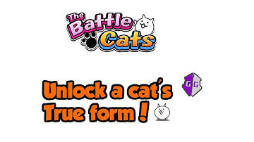 How to unlock a Cat