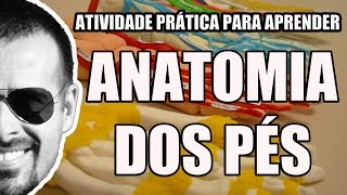 Anatomia Humana - Anatomia do Pé e Tornozelo (ossos, artérias, veias e músculos) - VídeoAula 009