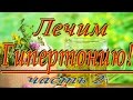 Лечение Гипертонии (часть 2) в домашних условиях