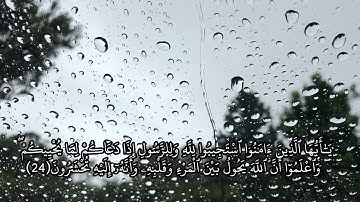 من سورة الانفال للقارئ هيثم الدخين