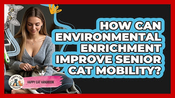 How Can Environmental Enrichment Improve Senior Cat Mobility? - Happy Cat Handbook