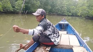 ganas...!!! tarikan predator mata biru ini melebihi kuatnya tarikan barramundi.