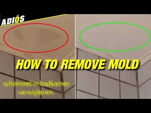 how-to-remove-mold-in-bathroom-/-schimmel-in-de-badkamer-verwijderen.