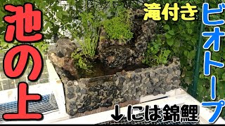 池の上の滝付きビオトープに植物を植える