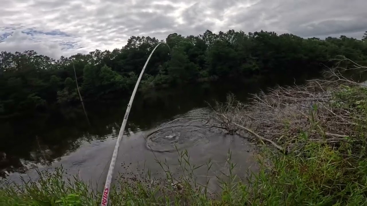 BASS FISHING AT MY HOUSE