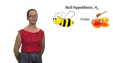 Null and alternative hypotheses with Lindsey Leach