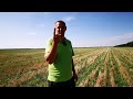 No-till практика. Олександр Журавський. Одна сівалка для всіх культур.