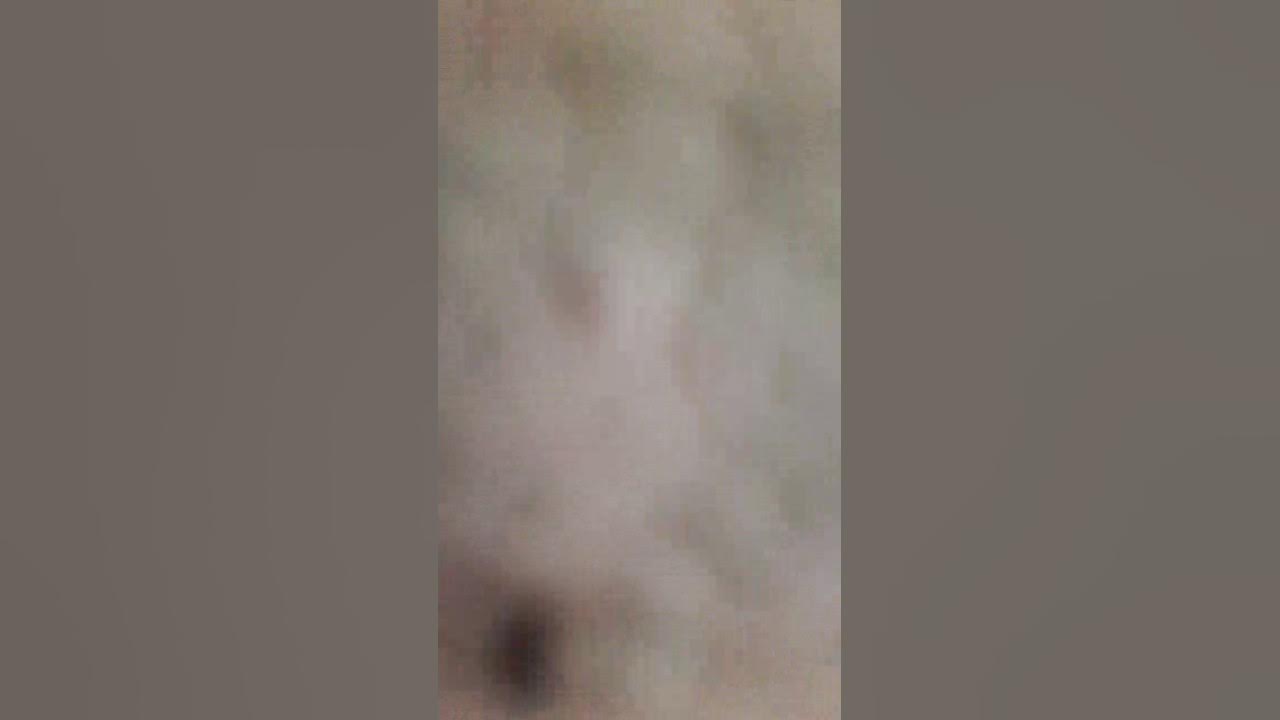 888 444 3 33 666 9 2 7777 66 666 8 333 666 88 66 3 YouTube
