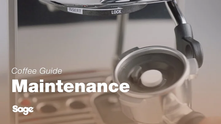 The Bambino® Plus | A 9-step guide to performing a cleaning cycle | Sage Appliances UK