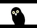 Bad animation: coruja motorista