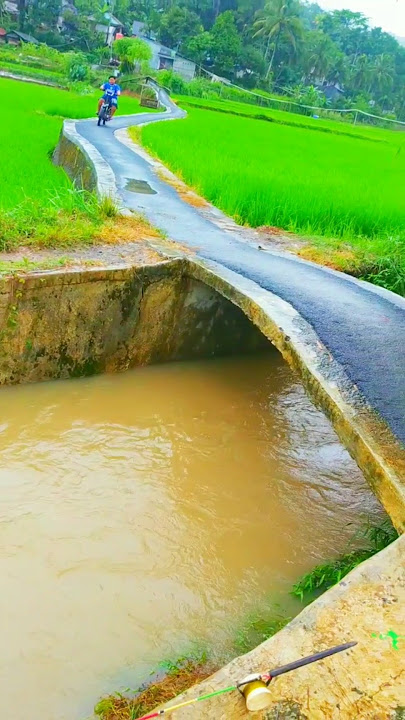 indahnya alam tasikmalaya #nature #alamindah #tasikmalaya #jalandesa #suasanayangindah #traveling