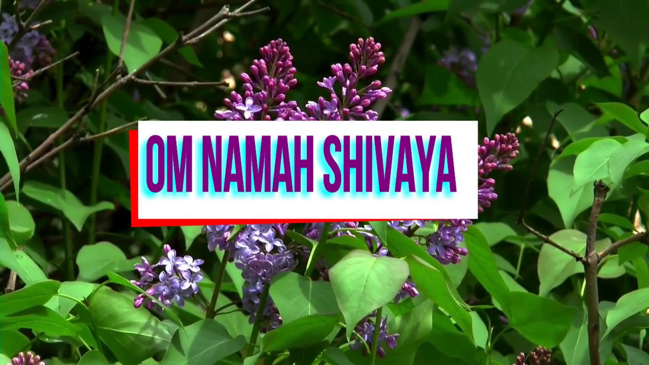 Om Namah Shivaya Song And Good Morning Quotes In Different Style